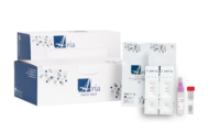 Helicobacter pylori Ag (heces)